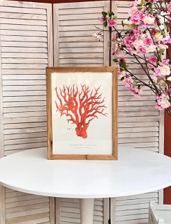 CUADRO CORAL AMANECE