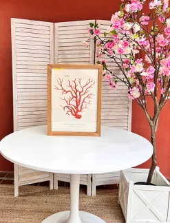 CUADRO CORAL CRETA