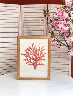 CUADRO CORAL MAR